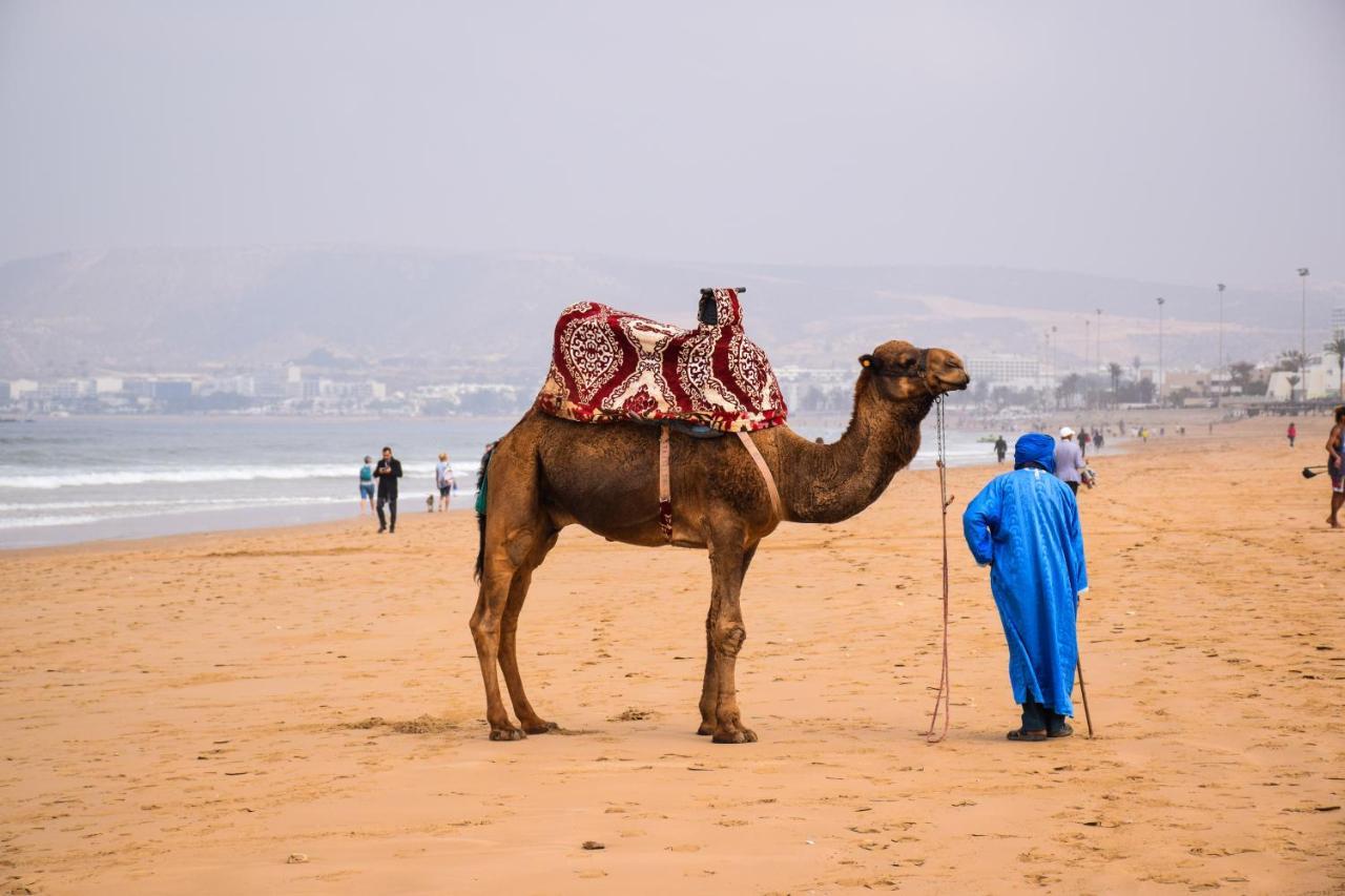 Tiziri Surf Maroc Hostel Tamraght Buitenkant foto